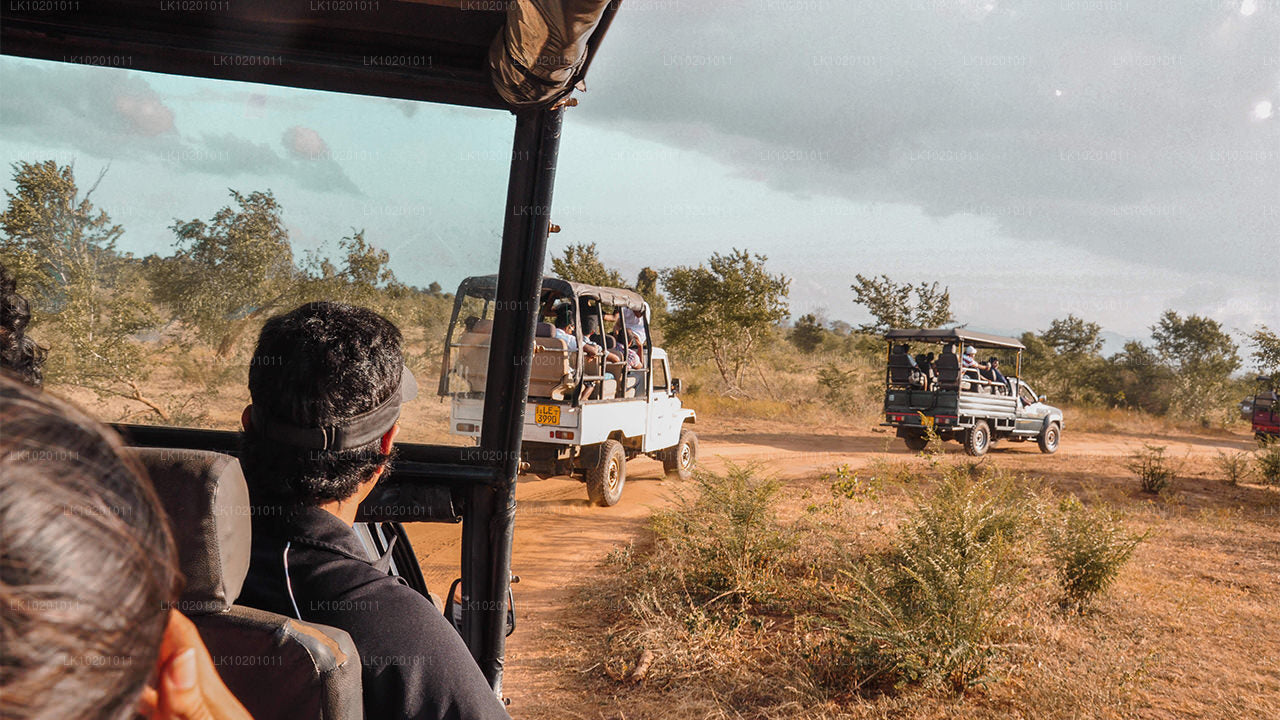 Udawalawe und Galle ab Colombo (2 Tage)