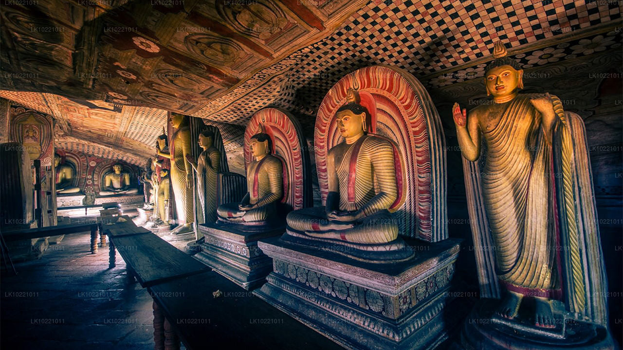 Anuradhapura ab Kandy (2 Tage)