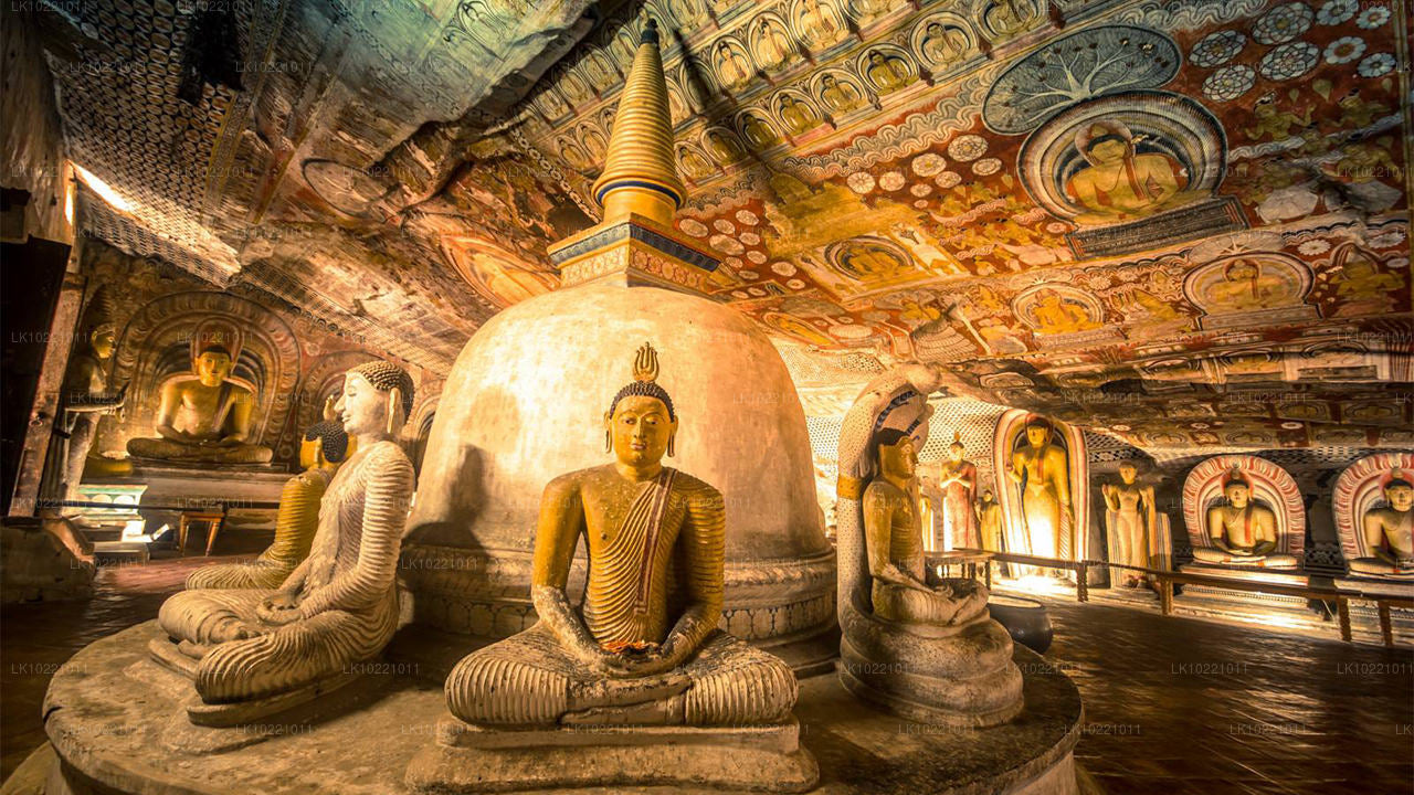 Anuradhapura ab Kandy (2 Tage)