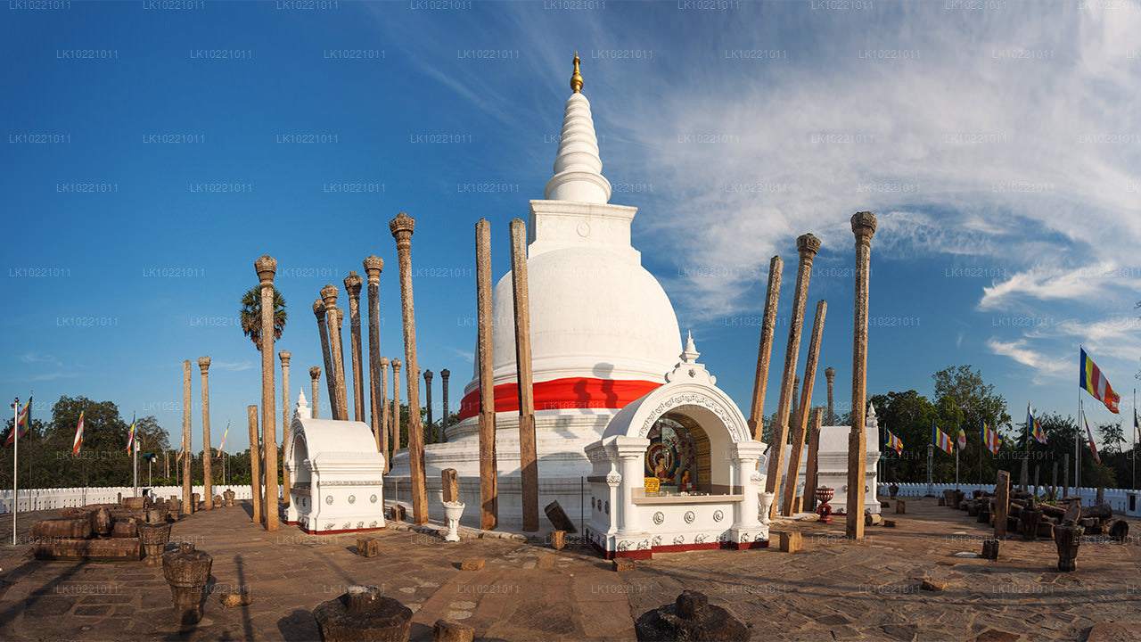 Anuradhapura ab Kandy (2 Tage)