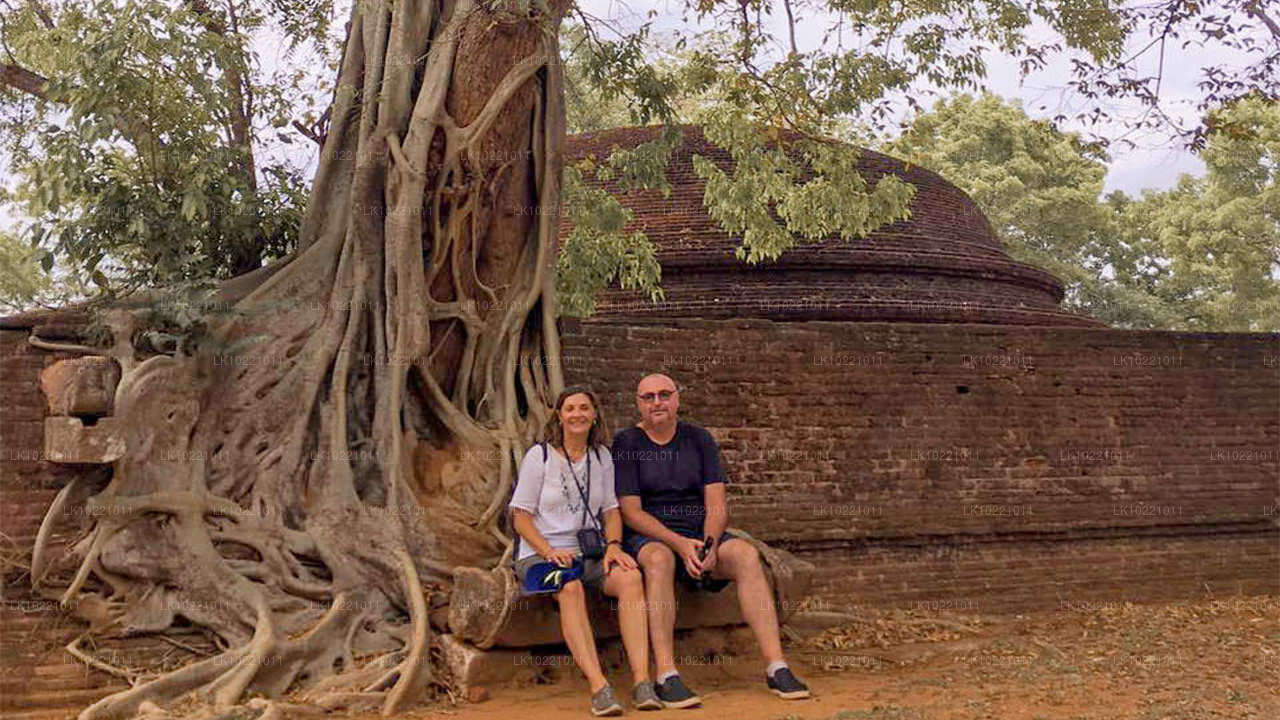 Anuradhapura ab Kandy (2 Tage)