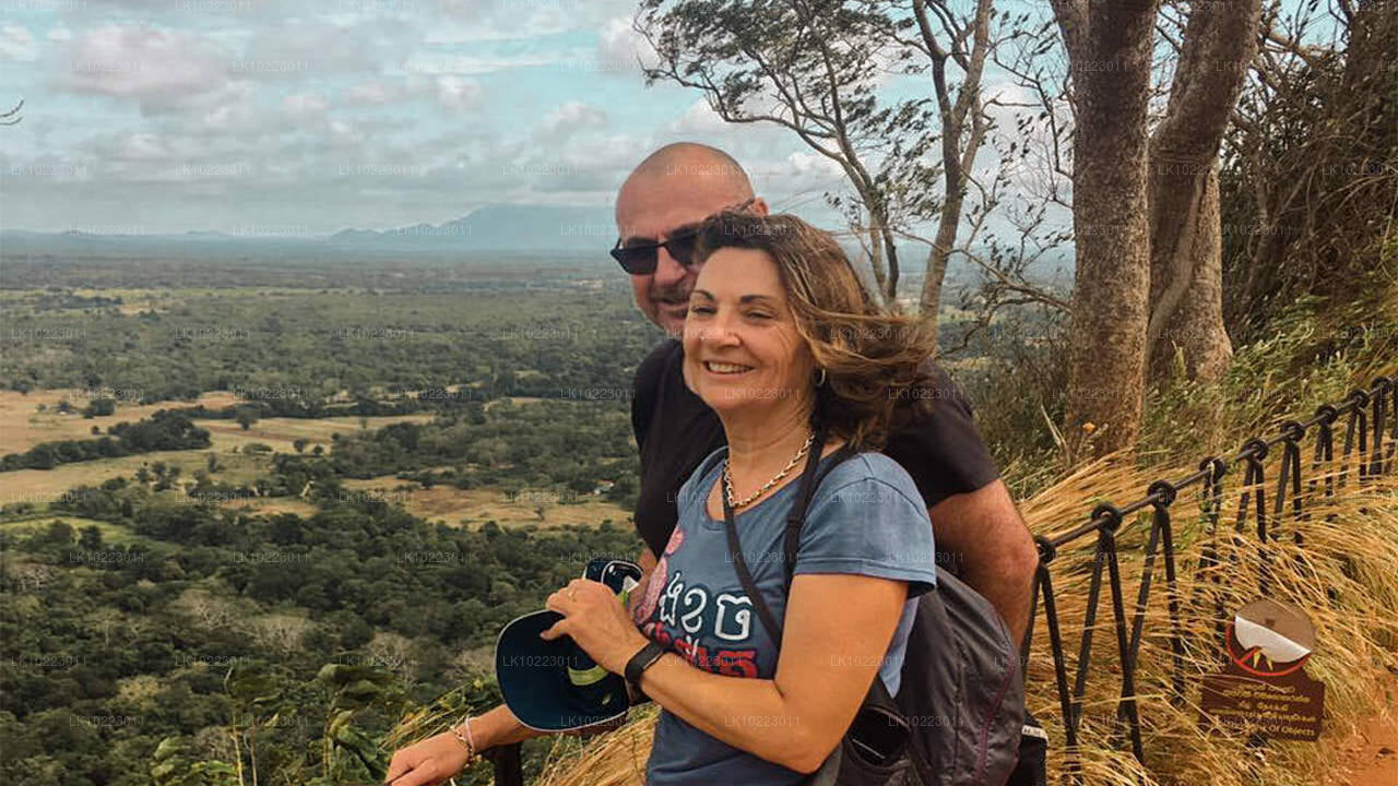 Sigirya und Minneriya ab Negombo (2 Tage)