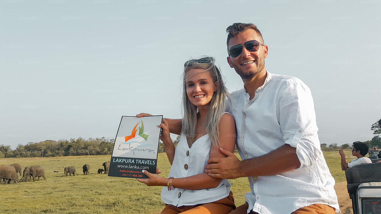 Sigirya und Minneriya ab Negombo (2 Tage)