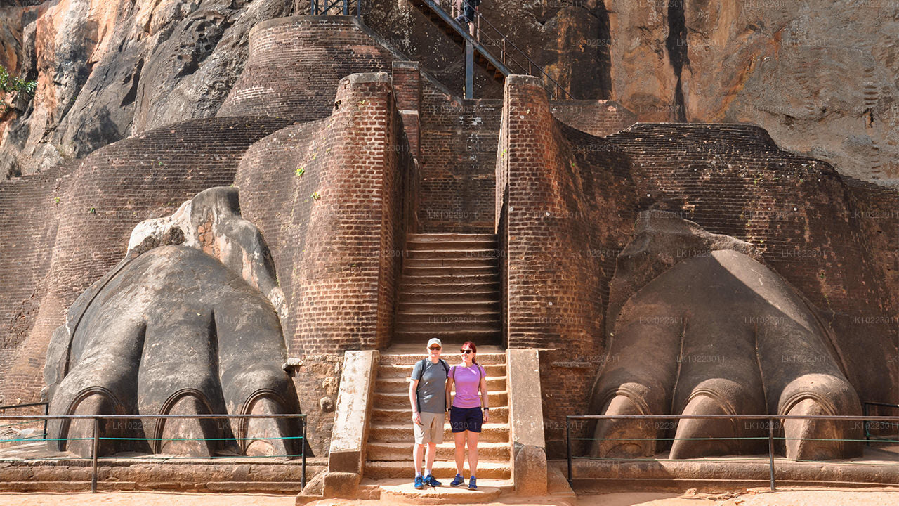 Sigirya und Minneriya ab Negombo (2 Tage)