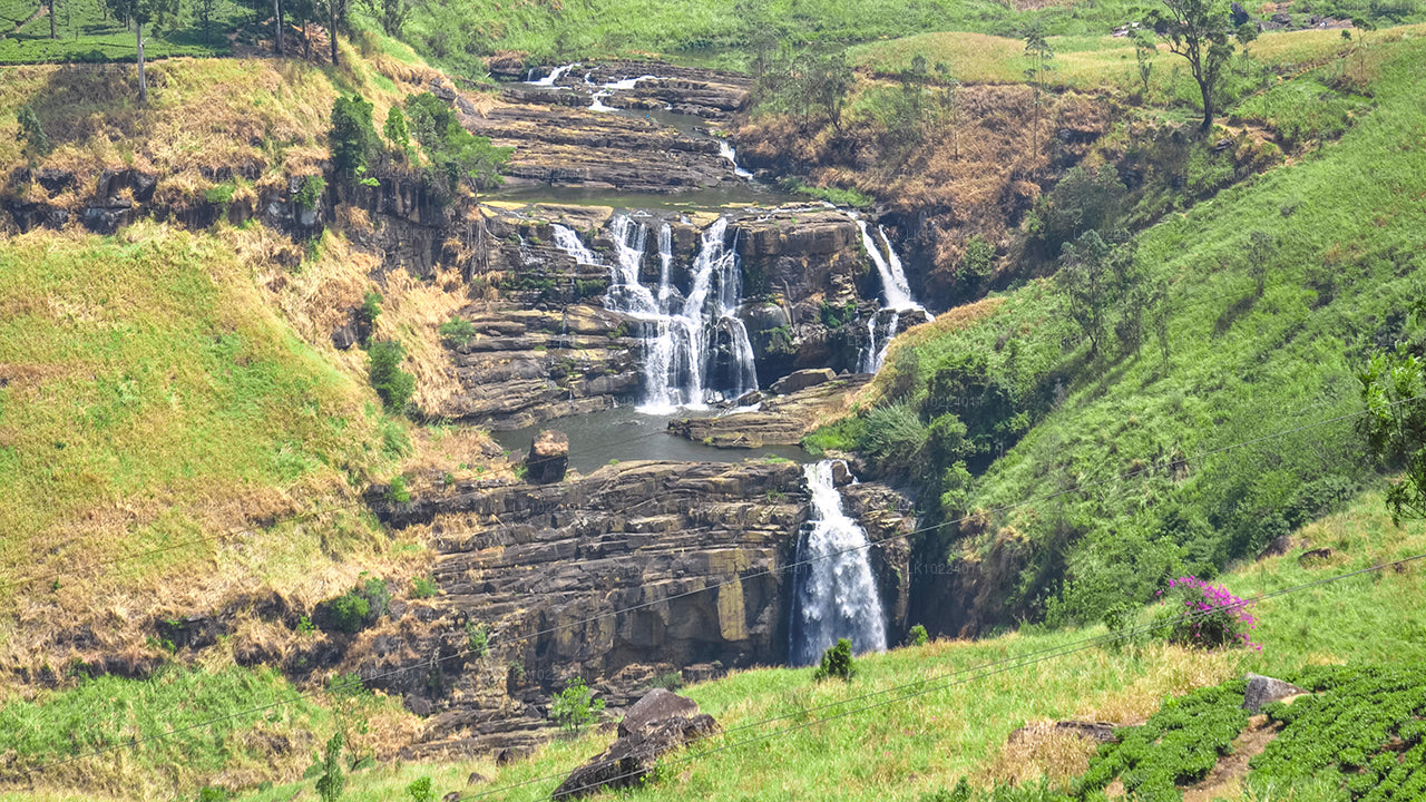 Nuwara Eliya ab Negombo (2 Tage)