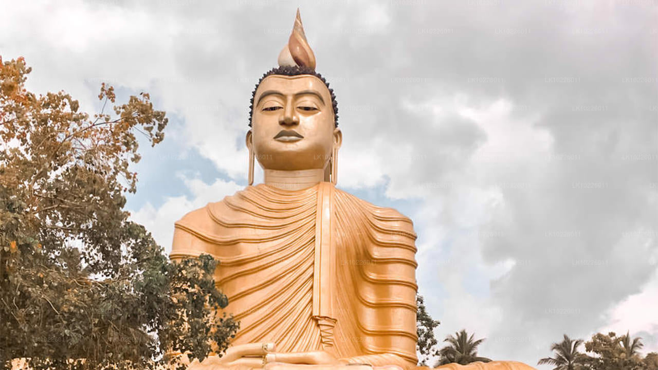 Tempel und Wildnis ab Negombo (2 Tage)