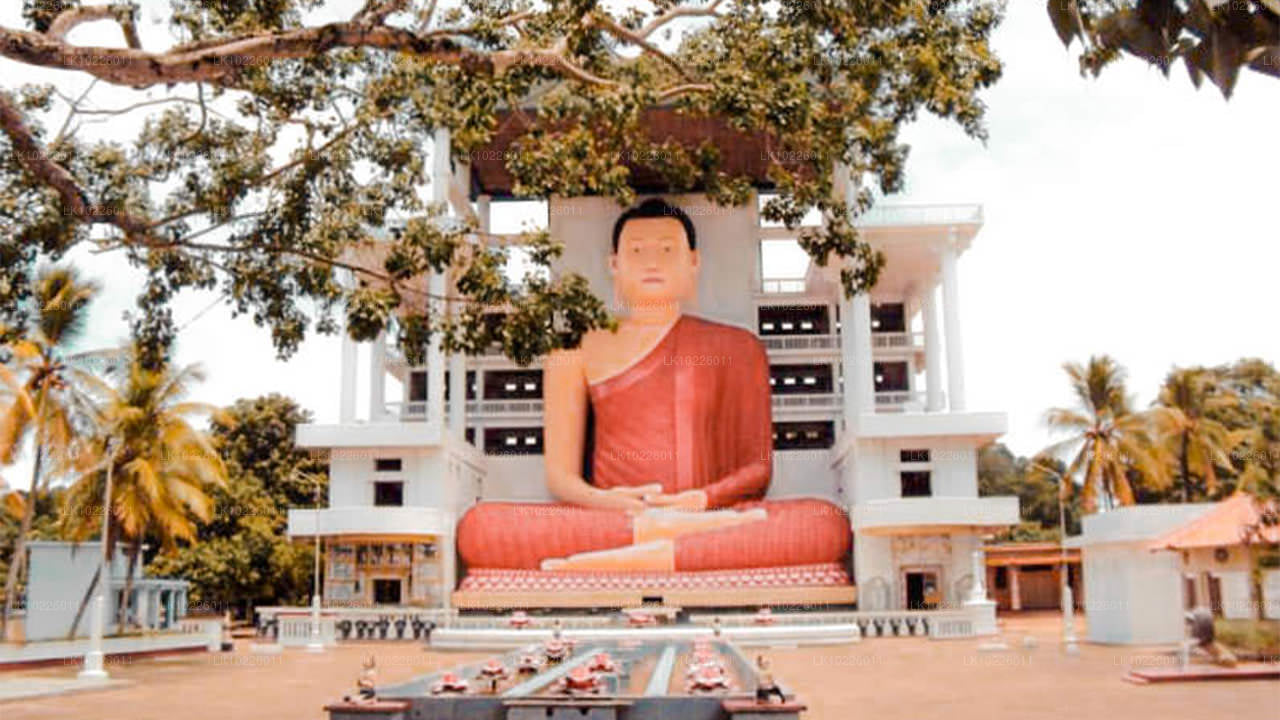 Tempel und Wildnis ab Negombo (2 Tage)