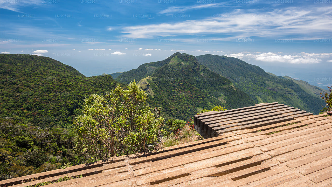 Nebelige Bergpfade ab Galle (2 Tage)