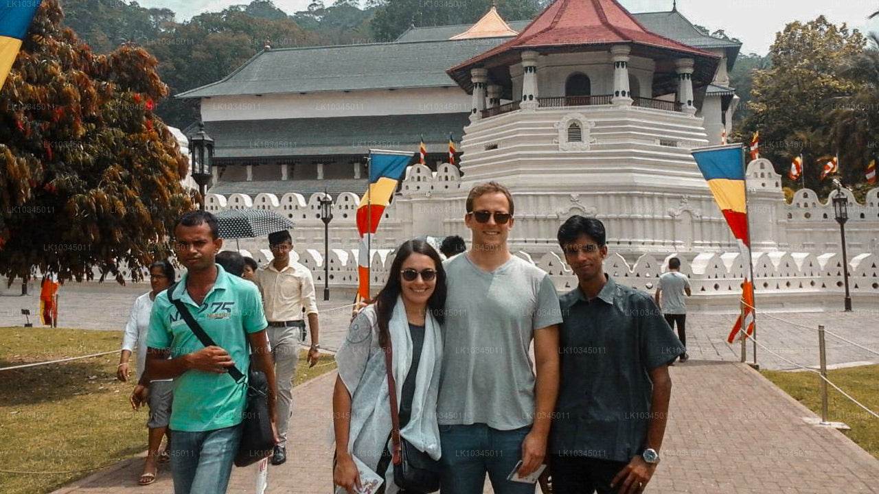 Das letzte Königreich Sri Lankas ab Colombo (3 Tage)