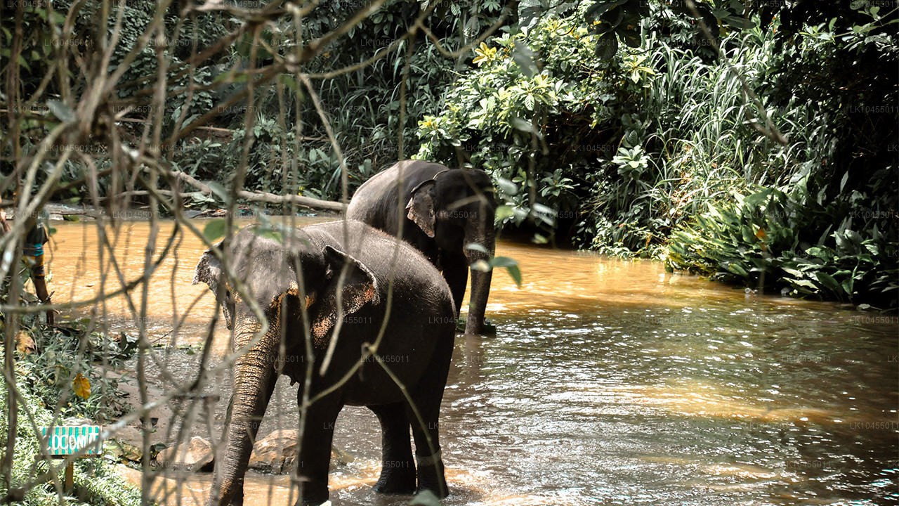 Aborigine-Tour in Sri Lanka (4 Tage)