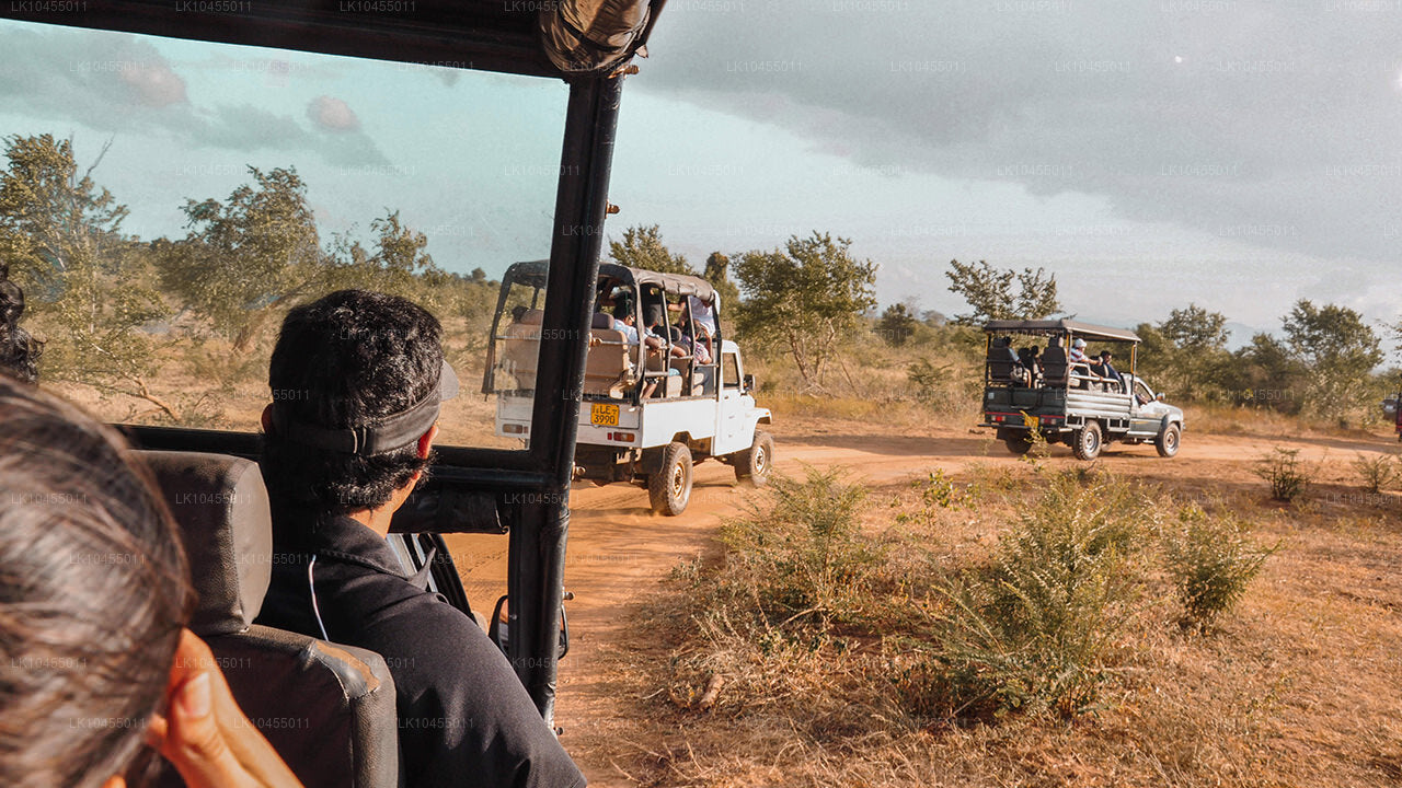 Aborigine-Tour in Sri Lanka (4 Tage)