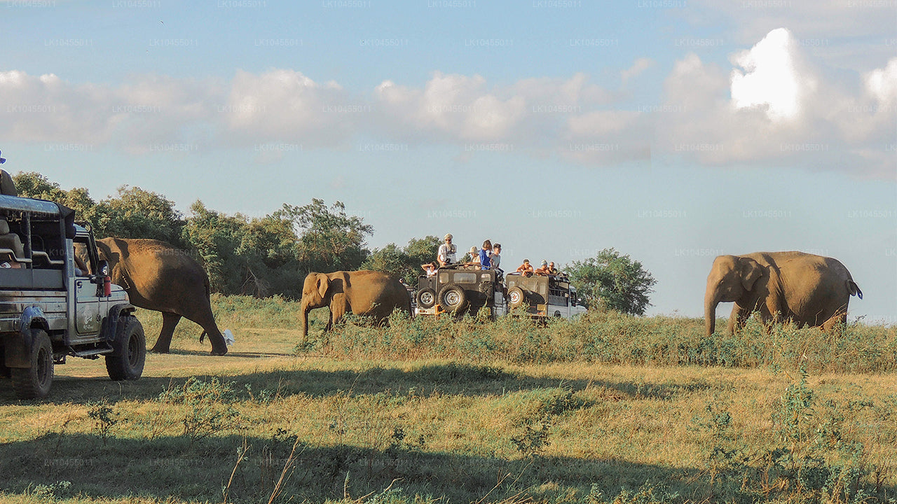 Aborigine-Tour in Sri Lanka (4 Tage)