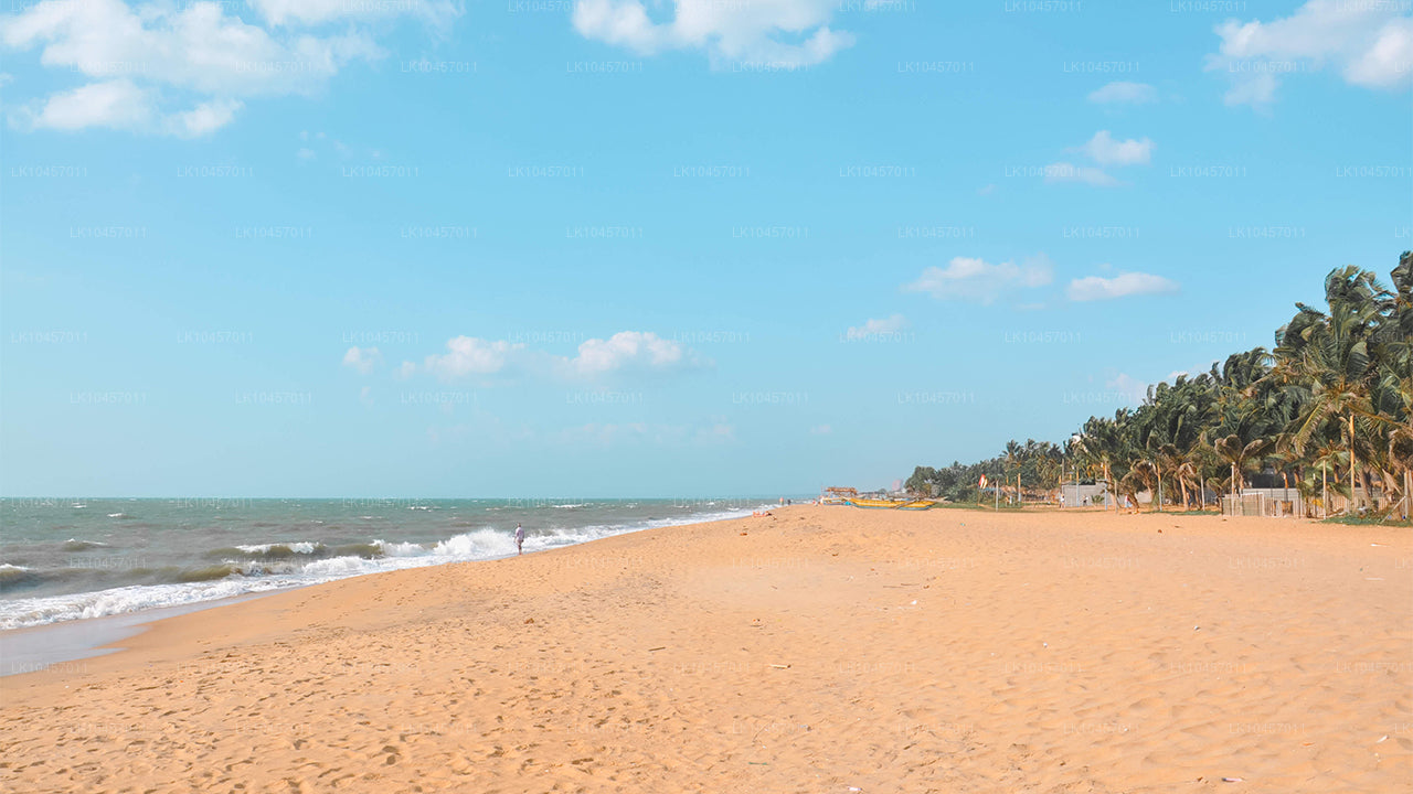 Strand und Stadt (4 Tage)