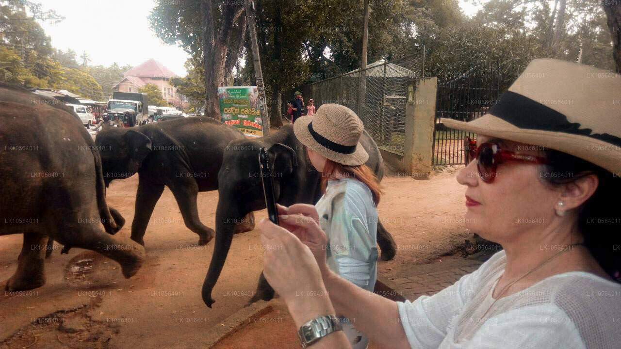 Die Hotspots Sri Lankas (5 Tage)