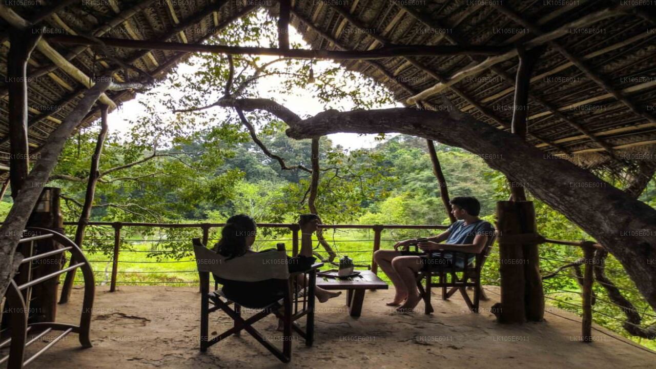 Öko-Touren durch Sri Lanka (5 Tage)