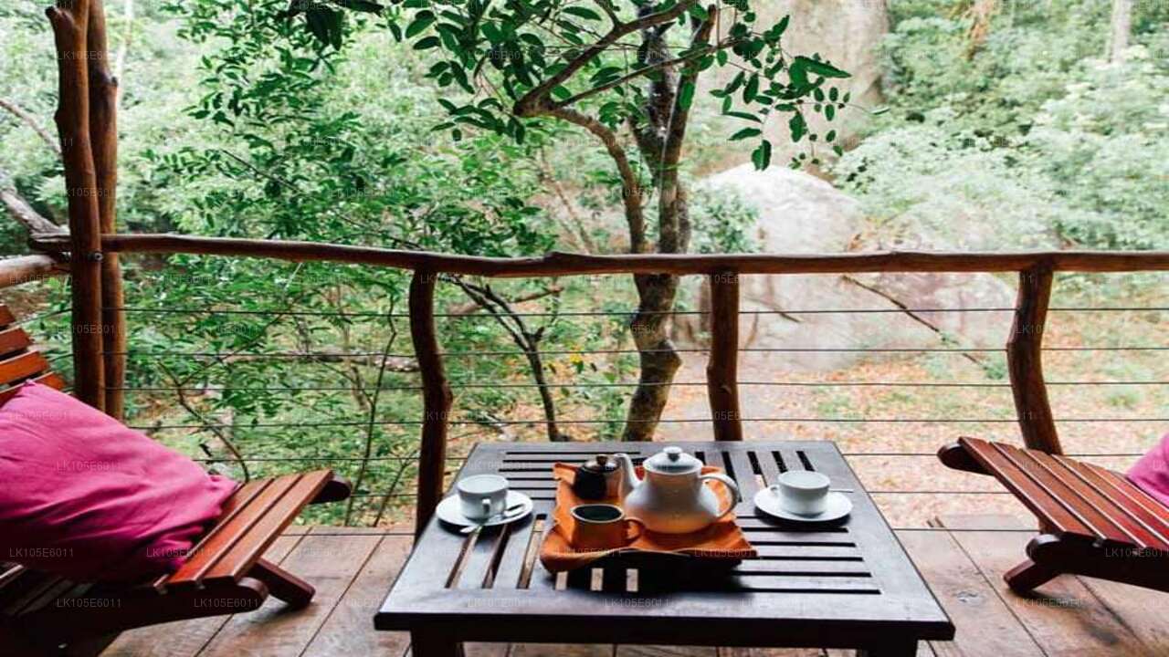 Öko-Touren durch Sri Lanka (5 Tage)