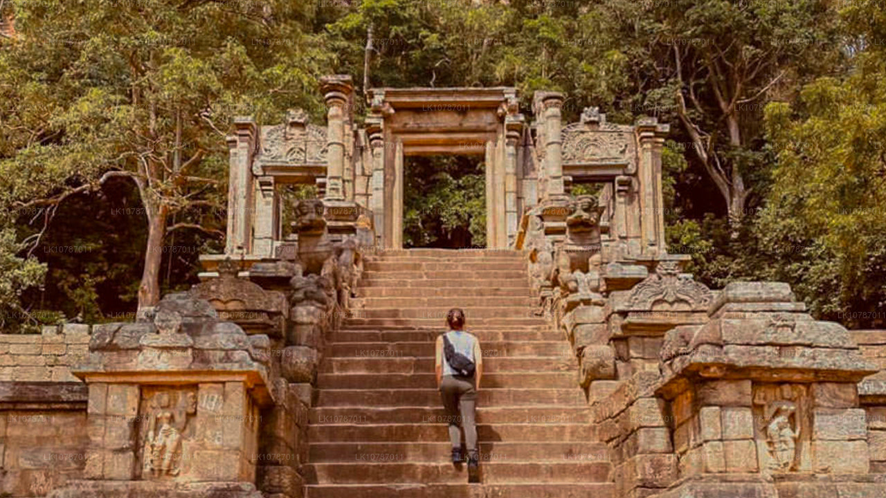 Uncharted Ceylon (7 Tage)