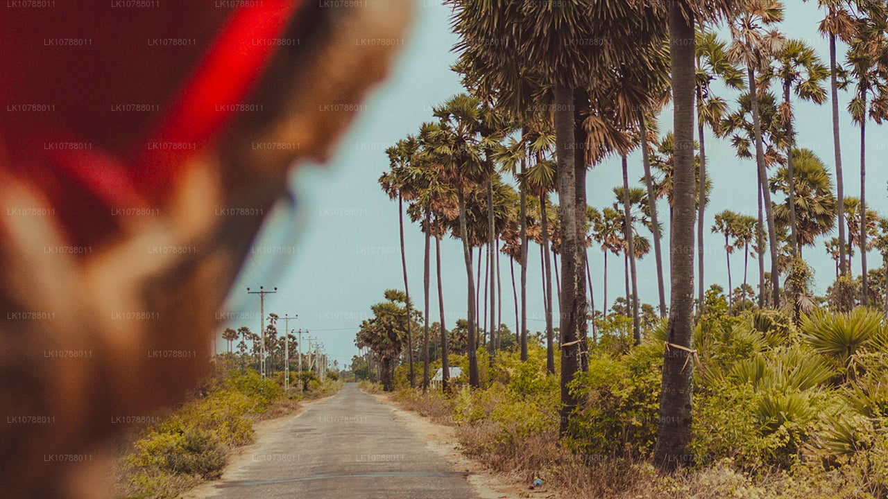 Unglaubliches Jaffna (7 Tage)