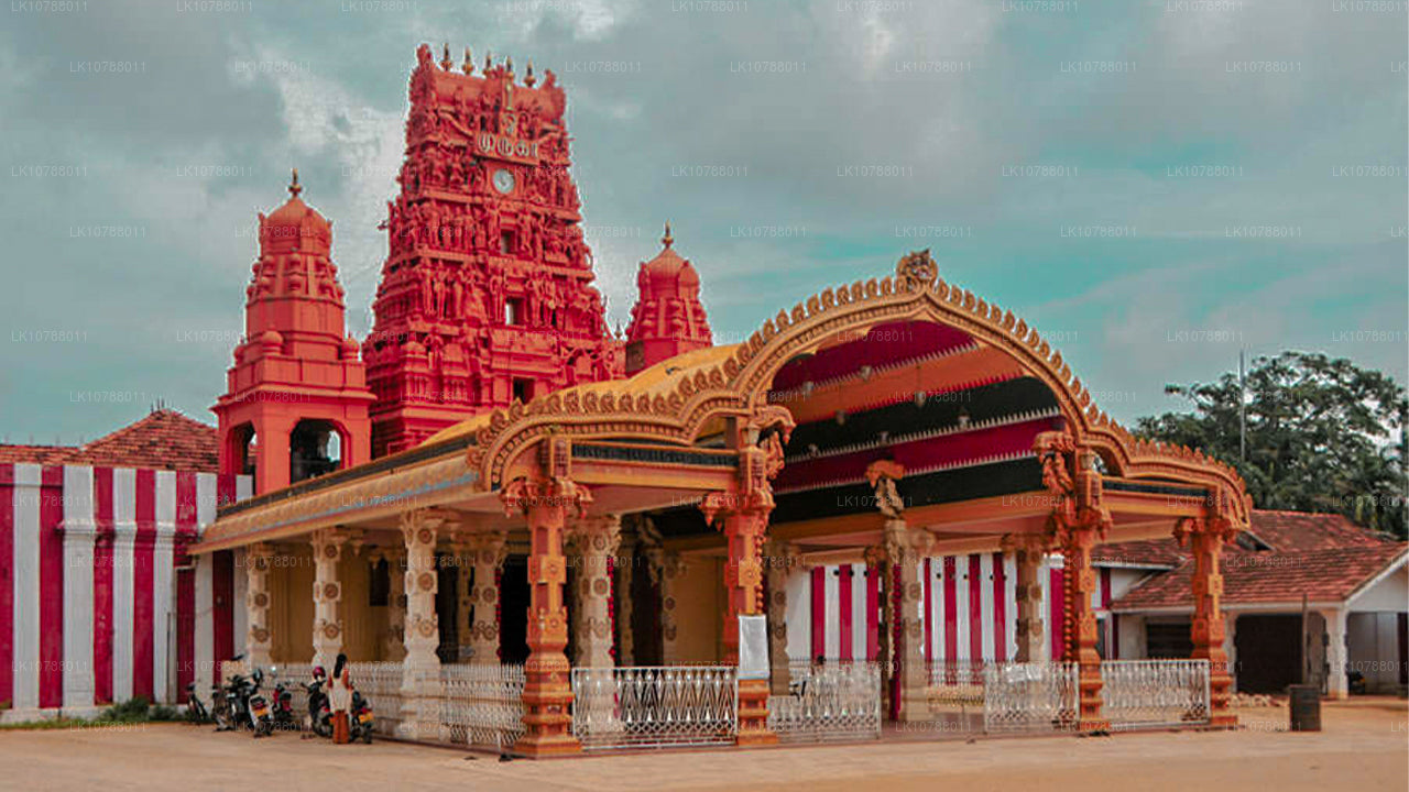 Unglaubliches Jaffna (7 Tage)