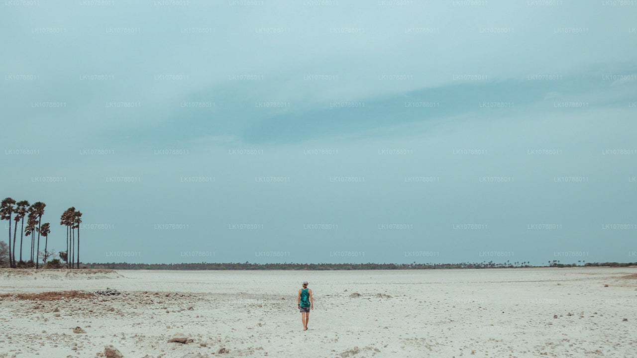 Unglaubliches Jaffna (7 Tage)