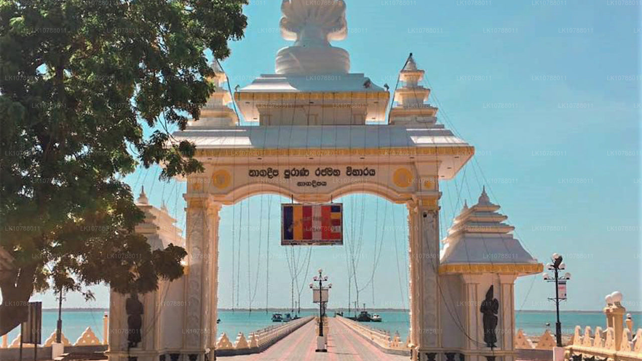 Unglaubliches Jaffna (7 Tage)