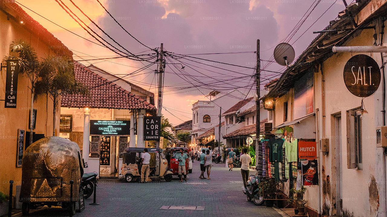 Typisches Ceylon (8 Tage)