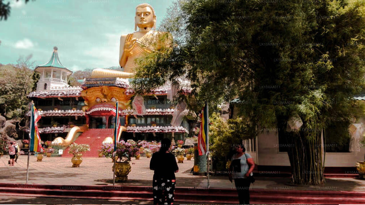 Höhepunkte Sri Lankas (10 Tage)