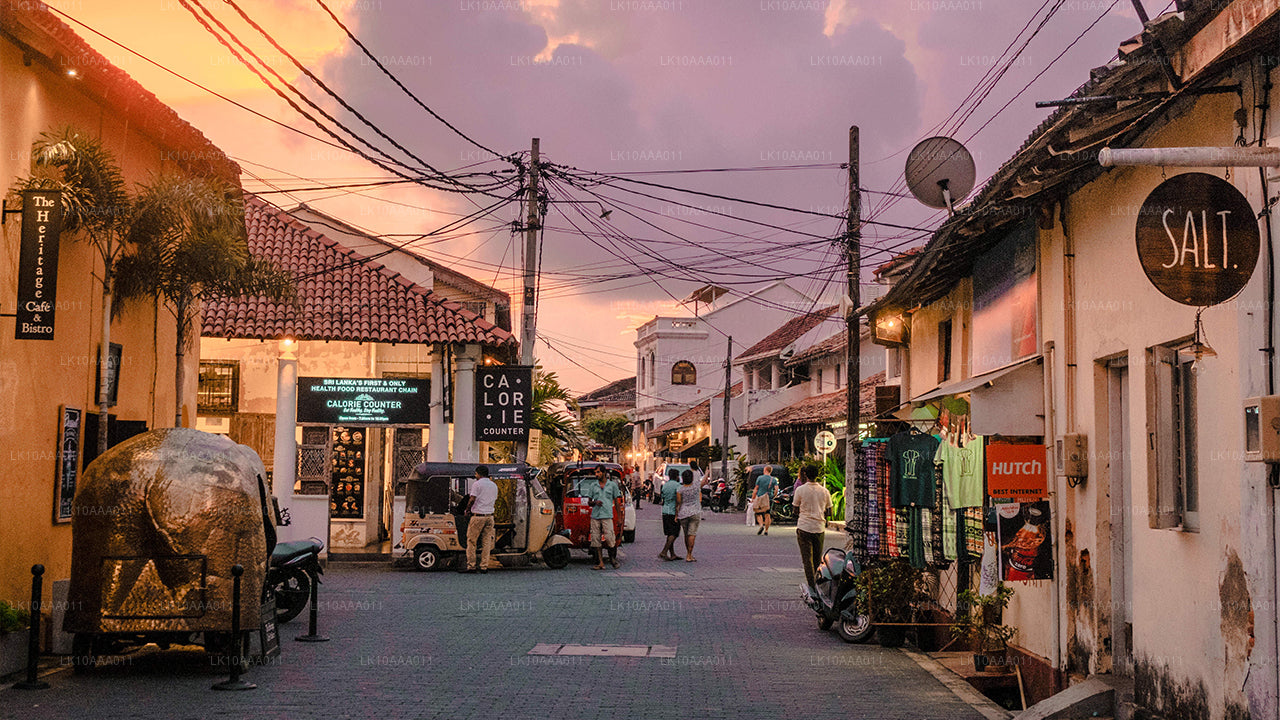 Höhepunkte Sri Lankas (10 Tage)