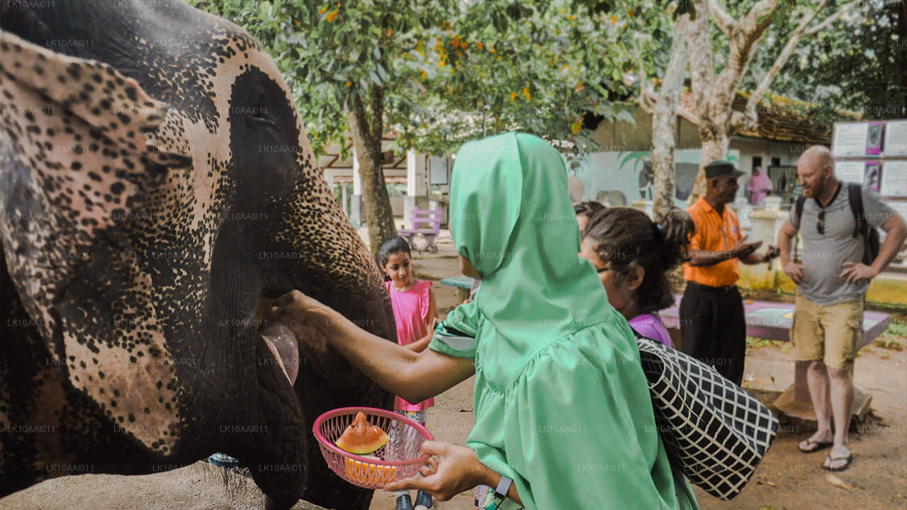 Halal-Tour (islamisch) nach Sri Lanka (10 Tage)