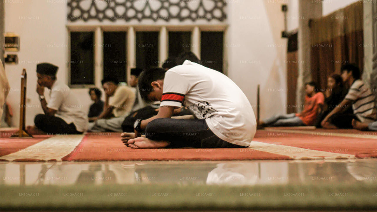 Halal-Tour (islamisch) nach Sri Lanka (10 Tage)