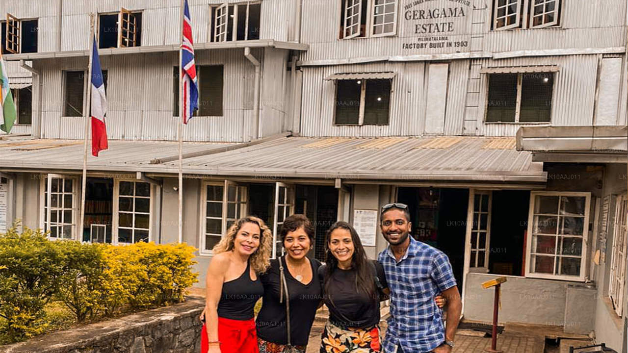 Ceylon-Teetour (10 Tage)