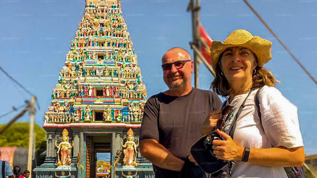 Sanctuary entdecken (11 Tage)