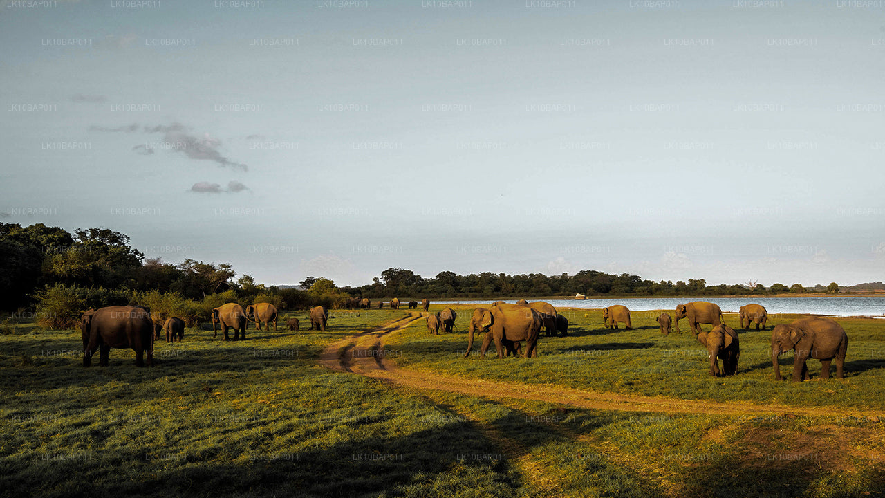 Sanctuary entdecken (11 Tage)