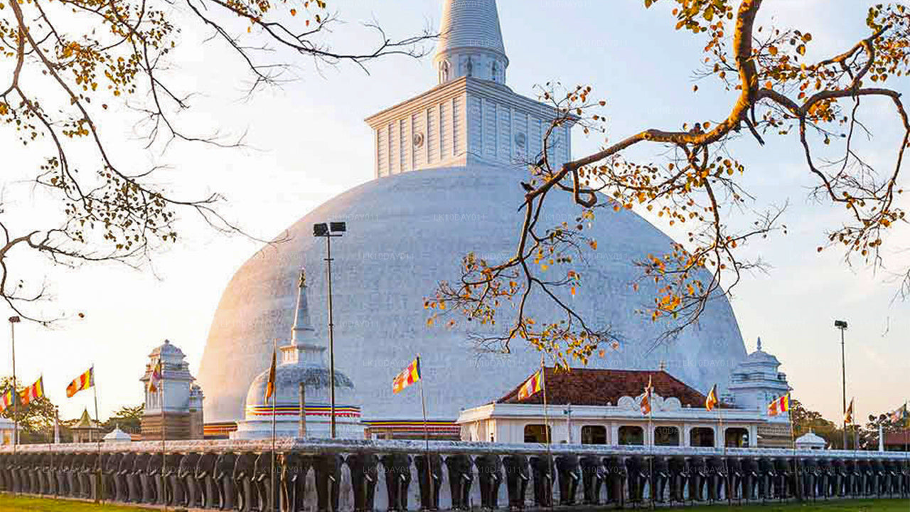 Buddhistische Pilgerreise (13 Tage)