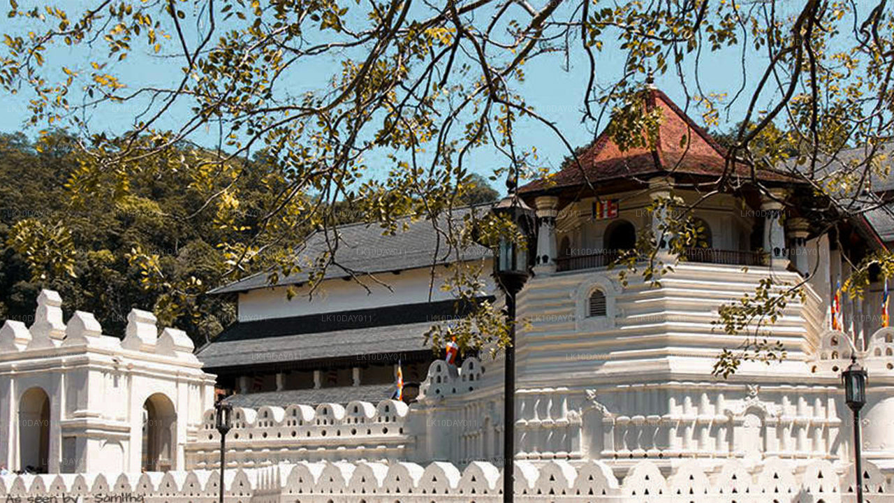 Buddhistische Pilgerreise (13 Tage)