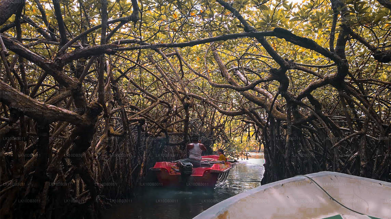 ПУТЕШЕСТВИЕ ВОКРУГ ЦЕЙЛОНА (13 Tage)