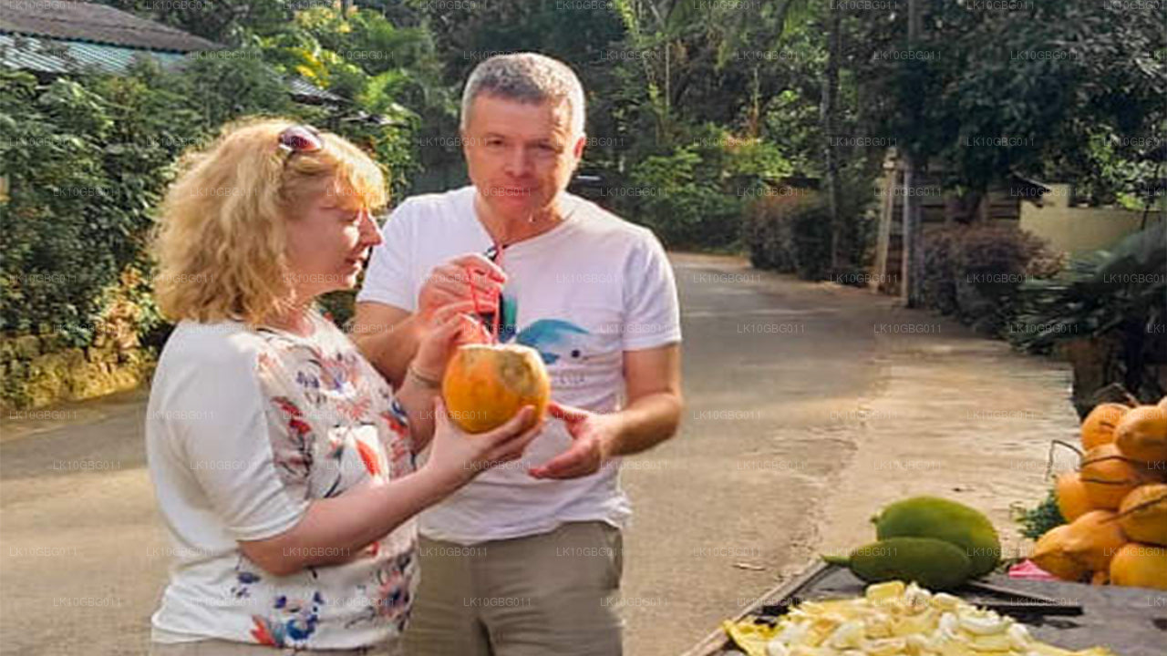 Juwelen Sri Lankas (16 Tage)