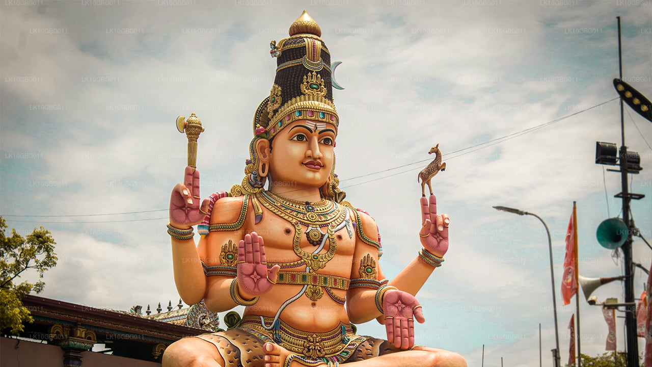 Juwelen Sri Lankas (16 Tage)