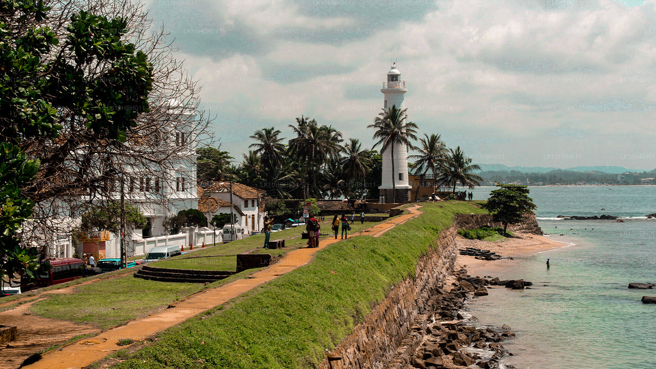 Modernes Ceylon (17 Tage)