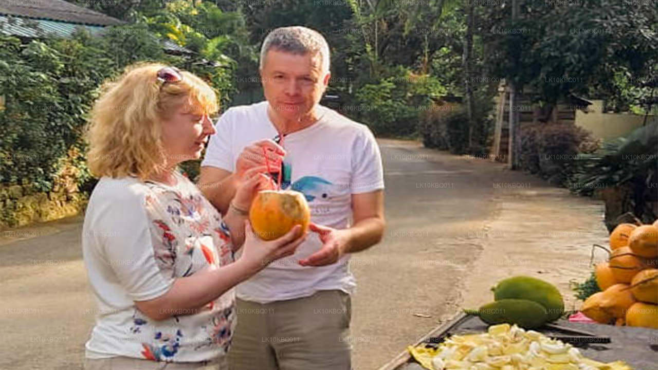 Klassisches Sri Lanka (20 Tage)