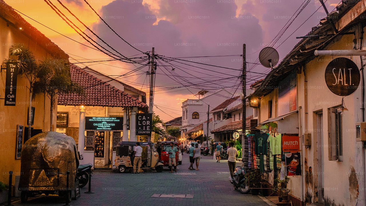 Ceylon Endearment (27 Tage)