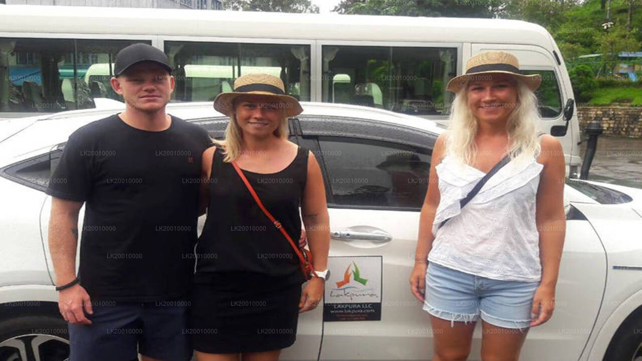 Auto mit Chauffeur (Standard) Vermietung
