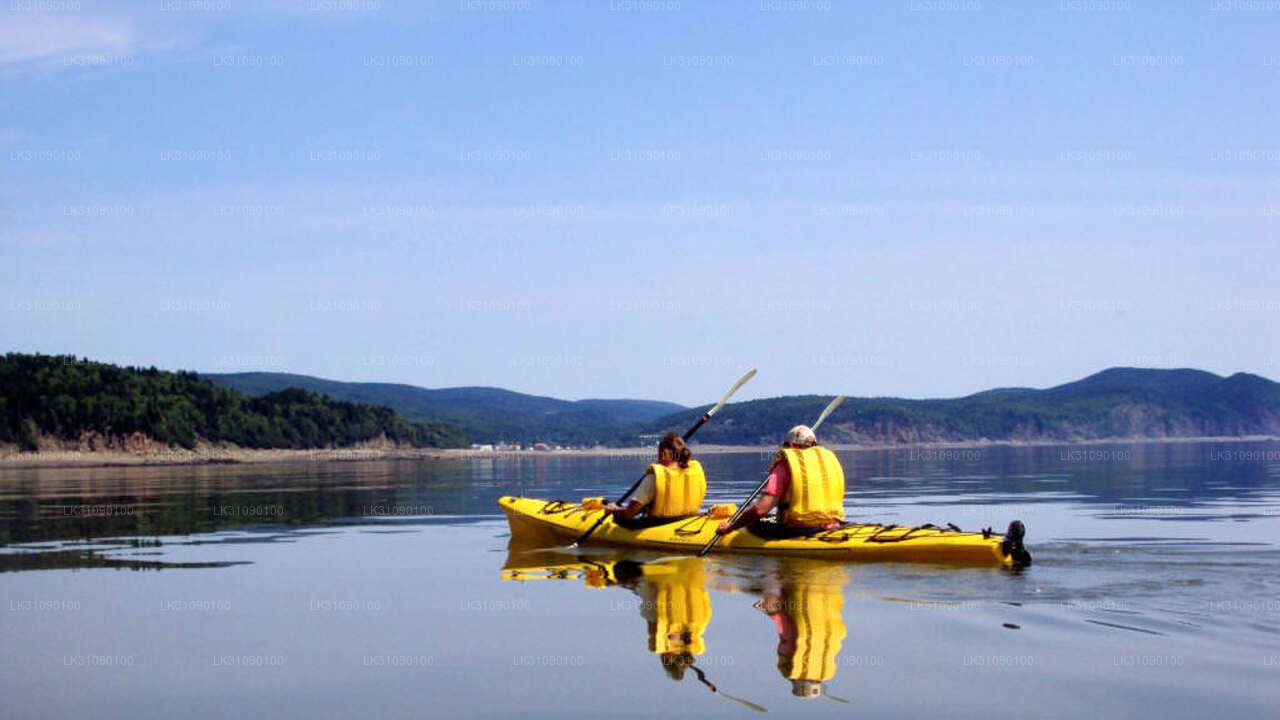 Kajakfahren am Buduruwagala-Stausee von Ella aus