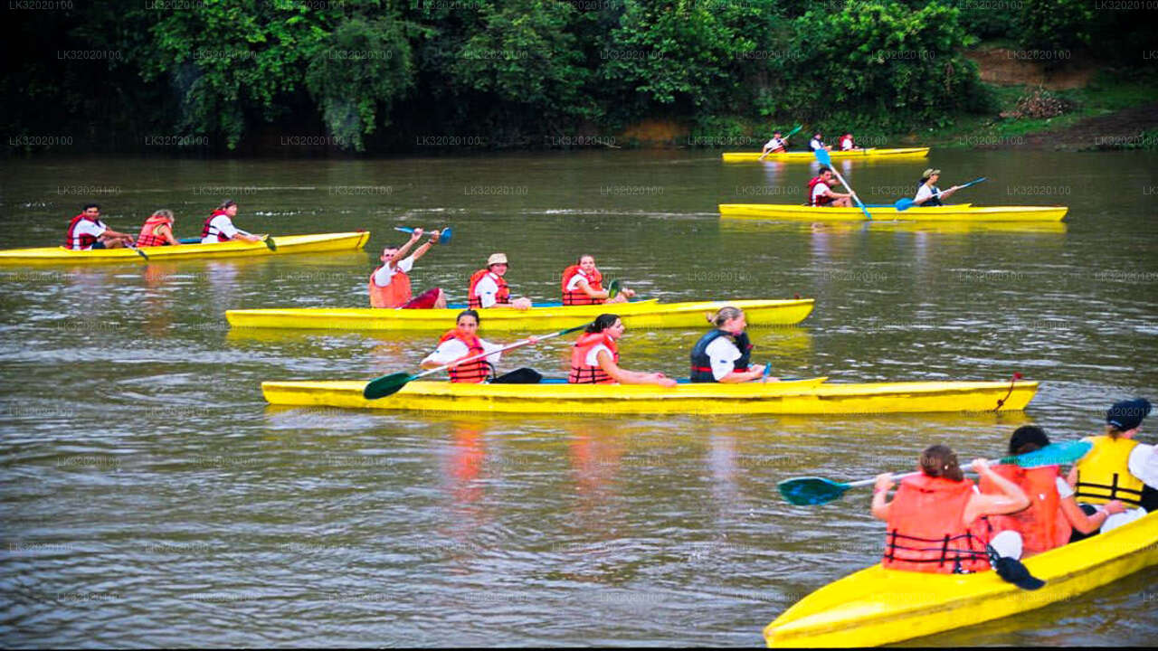 Kanufahren auf dem Mahaweli River von Kandy aus