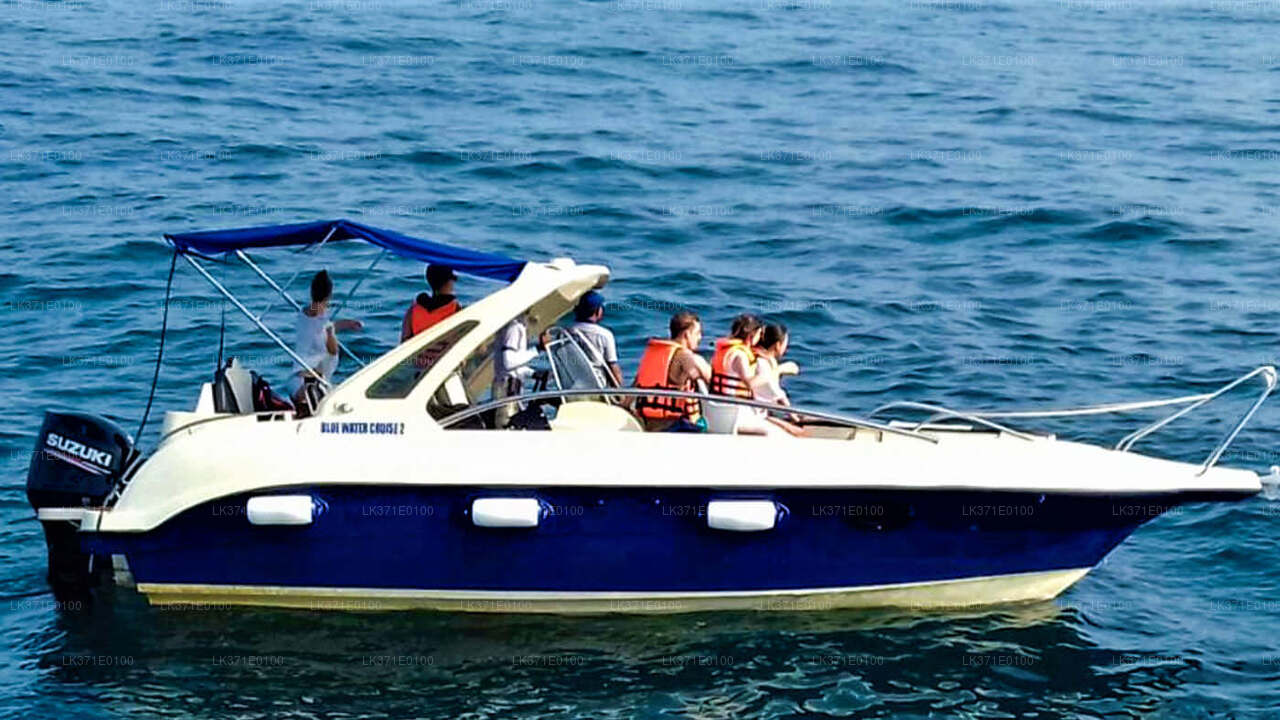 Walbeobachtung von Koggala auf einem gemeinsamen Boot
