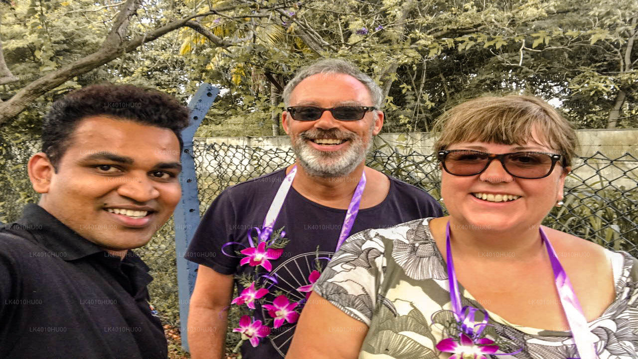 Privater Transfer vom Flughafen Colombo (CMB) nach Dolukanda City