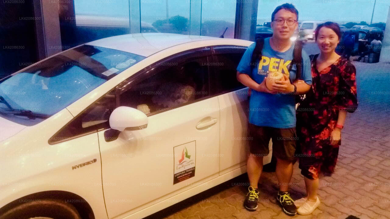 Privater Transfer von Avissawella City nach Nuwara Eliya City