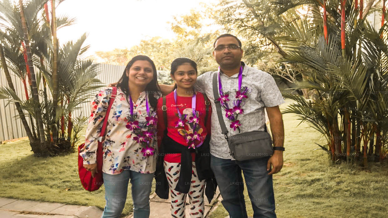 Privater Transfer von Nuwara Eliya City nach Negombo City