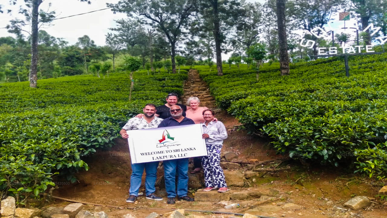 Privater Transfer von Kandy City nach Matara City