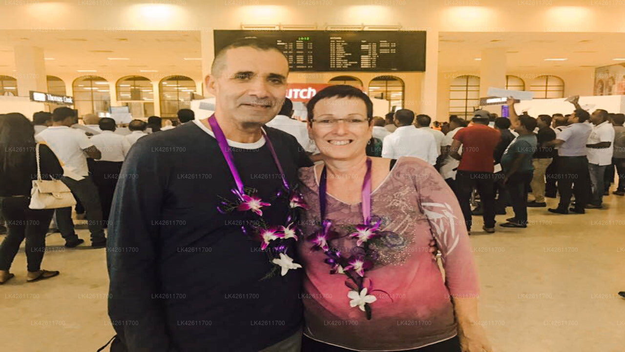 Privater Transfer von Negombo City nach Colombo City